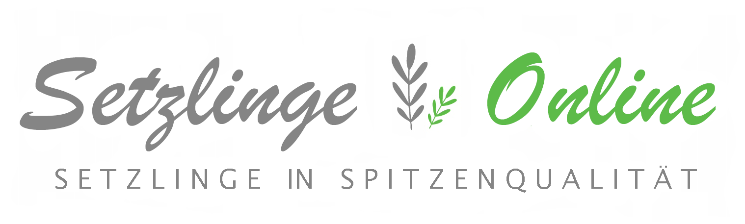 Setzlingeonline.de - logo