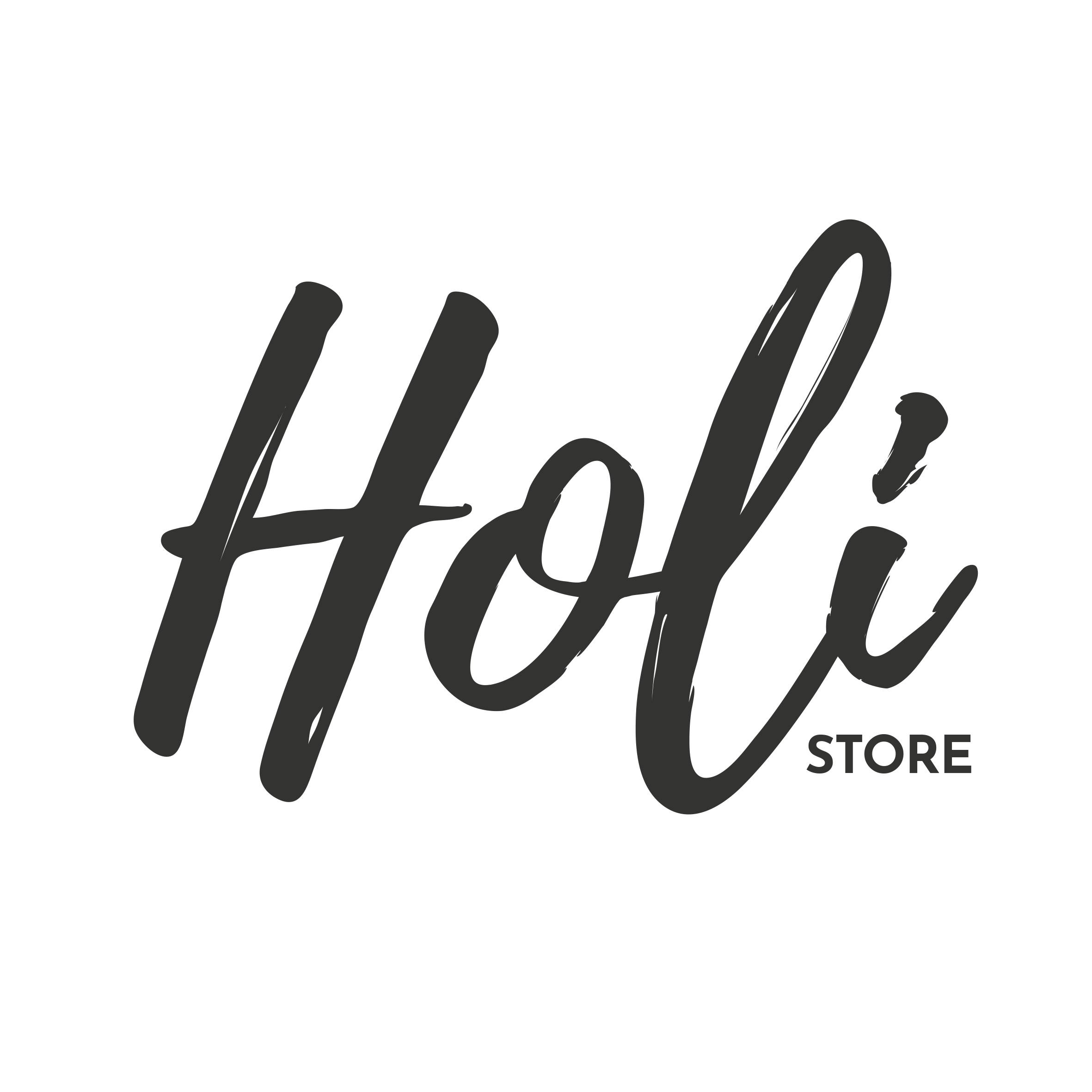 Holistore - logo